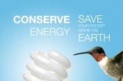 Print Ad