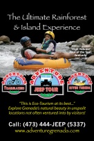 Print Ad