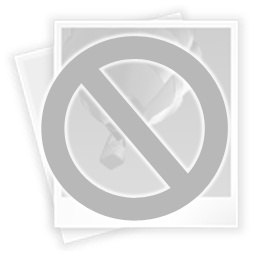 AllyDay Portfolio PDF